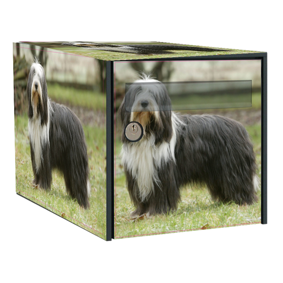 Stickers boîte aux lettres Bearded Collie