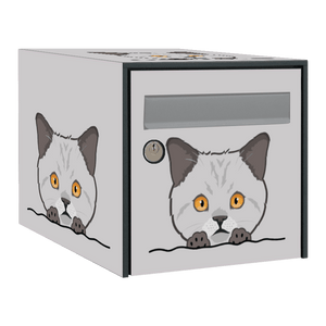 Stickers boîte aux lettres British Shorthair