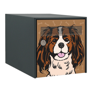 Stickers boîte aux lettres Cavalier King-Charles 2