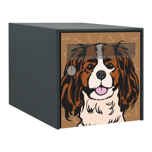 Stickers boîte aux lettres Cavalier King-Charles 2