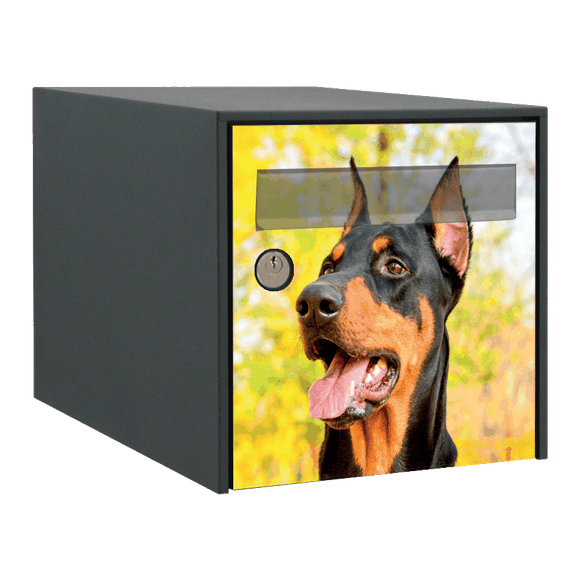 Stickers boîte aux lettres Dobermann