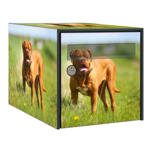 Stickers boîte aux lettres Dogue de Bordeaux