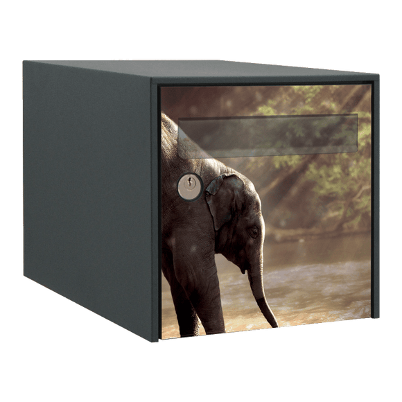 Stickers boîte aux lettres Elephant 3