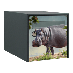 Stickers boîte aux lettres Hippopotame - Ma Belle Boîte