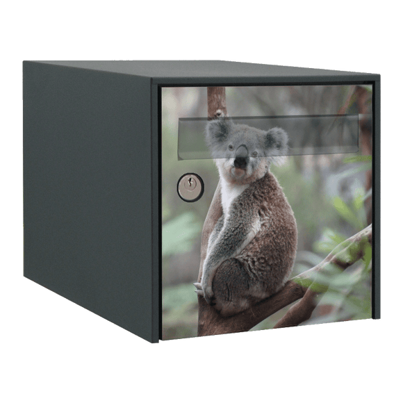 Stickers boîte aux lettres Koala - Ma Belle Boîte