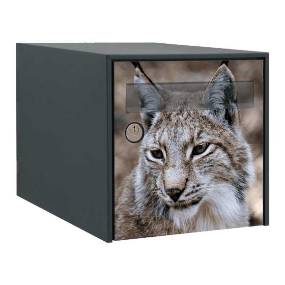 Stickers boîte aux lettres Lynx - Ma Belle Boîte