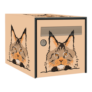 Stickers boîte aux lettres Maine Coon