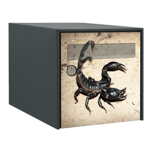 Stickers boîte aux lettres Scorpion - Ma Belle Boîte