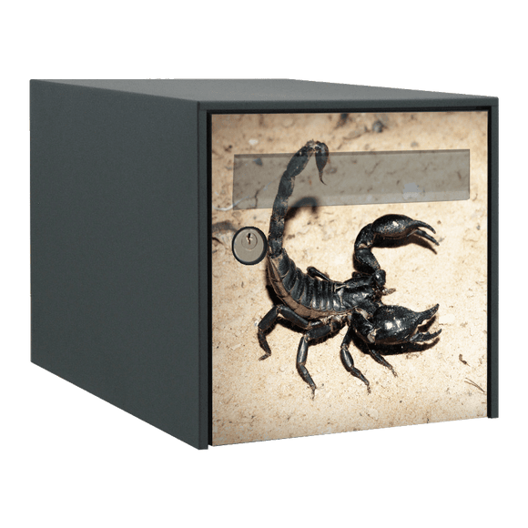Stickers boîte aux lettres Scorpion - Ma Belle Boîte