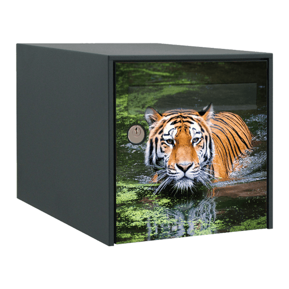 Stickers boîte aux lettres Tigre - Ma Belle Boîte