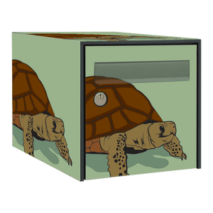 Stickers boîte aux lettres Tortue 2