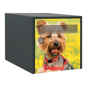 Stickers boîte aux lettres Yorkshire Terrier 2